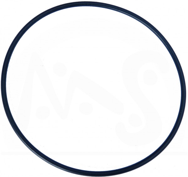 O Ring für Gegenschwimmanlage Aquajet