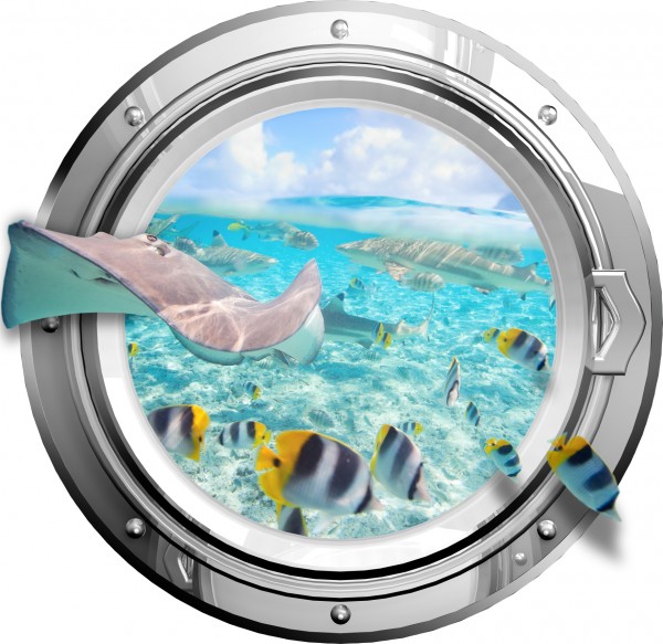 Poolaufkleber Nautic 13 H = 80 cm