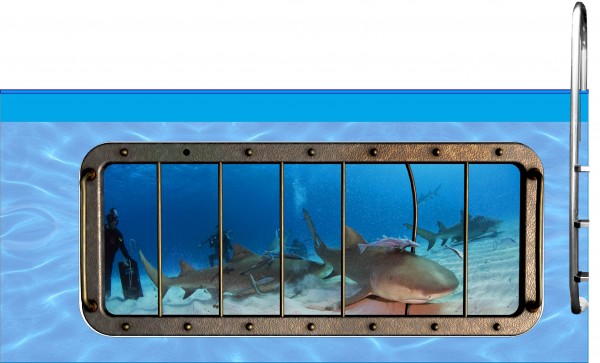 Poolaufkleber Nautic A 60 x 145 cm