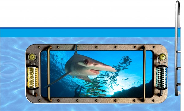 Poolaufkleber Nautic F 60 x 145 cm